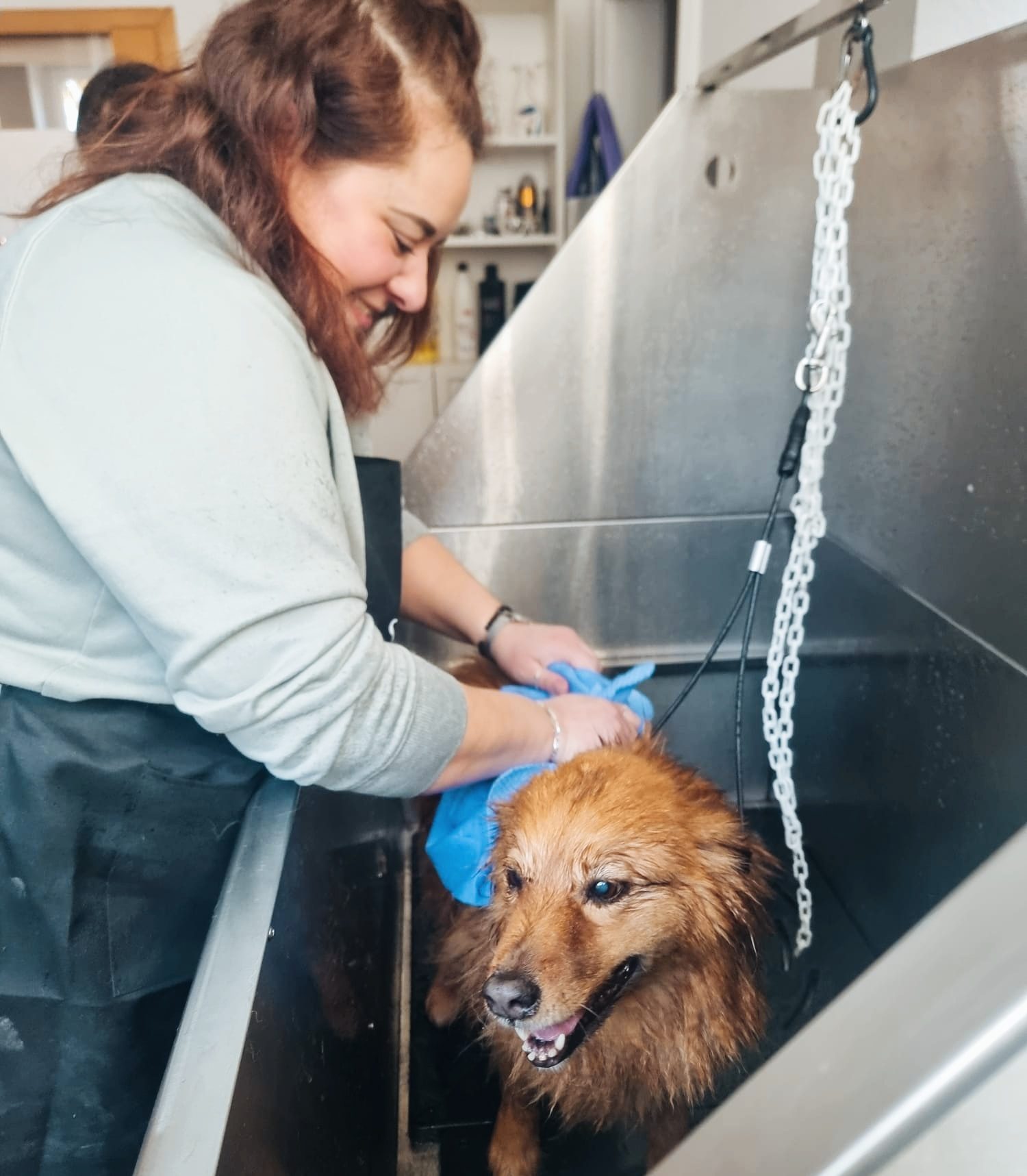 Hundefriseurin
